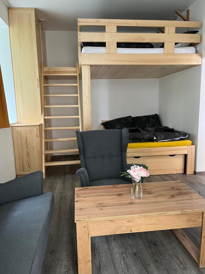 Apartment Moderni Uprostred Sumavske Prirody Zdikovec