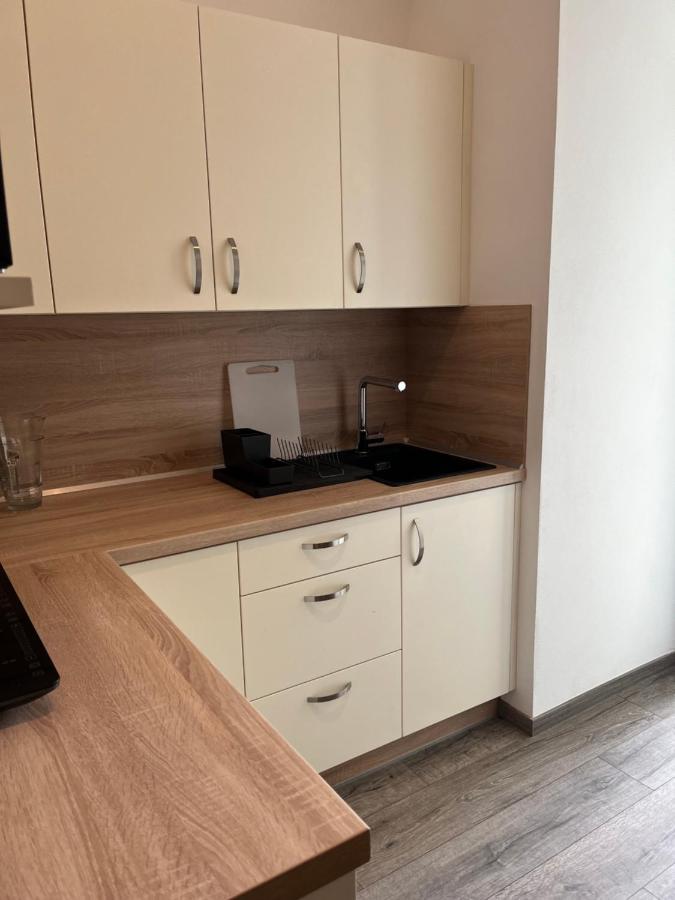 Moderni Uprostred Sumavske Prirody Apartment Zdikovec